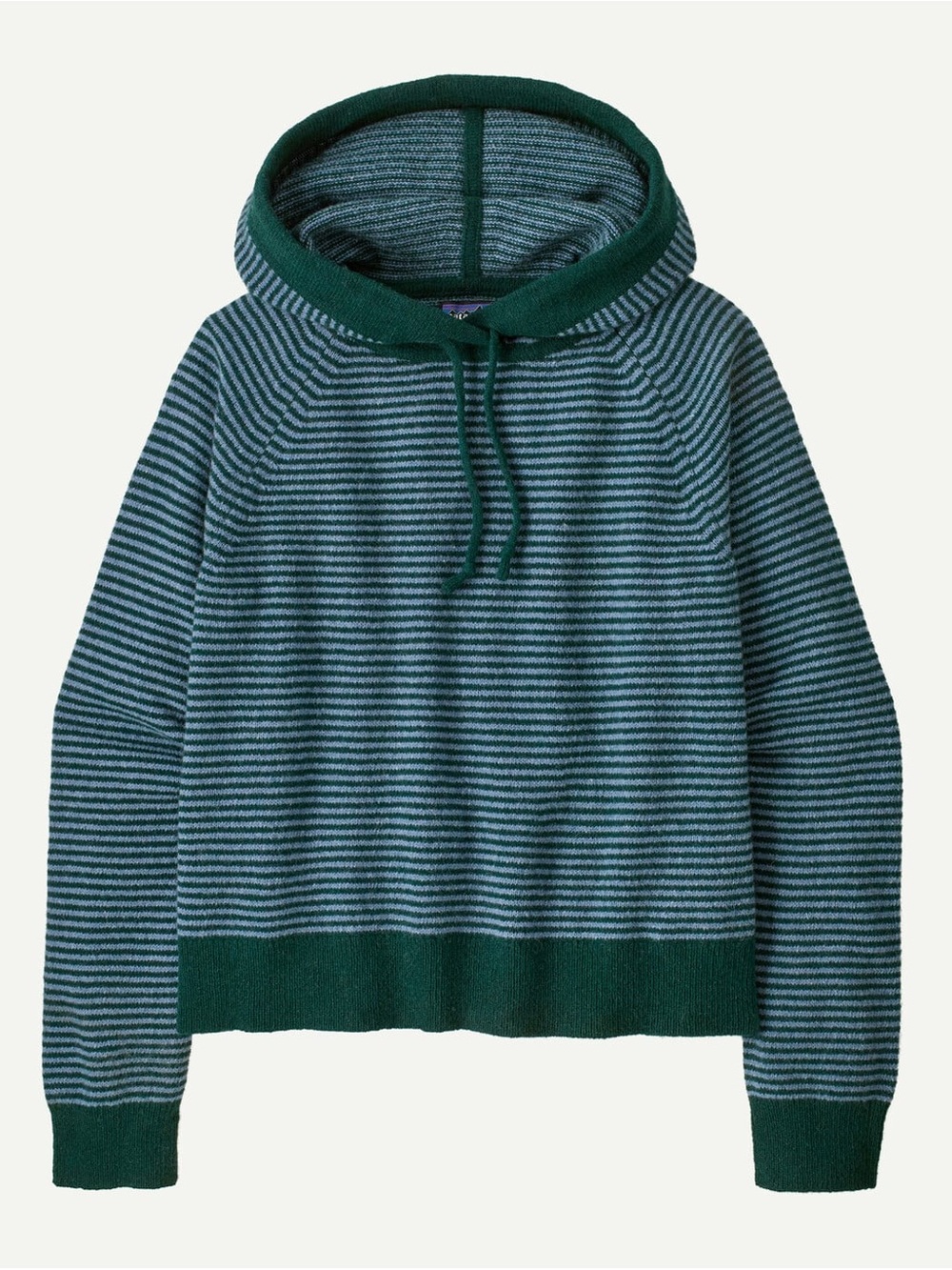 Patagonia Women's Recycled Wool-Blend Hooded Pullover Sweater Preppy Gorpcore M